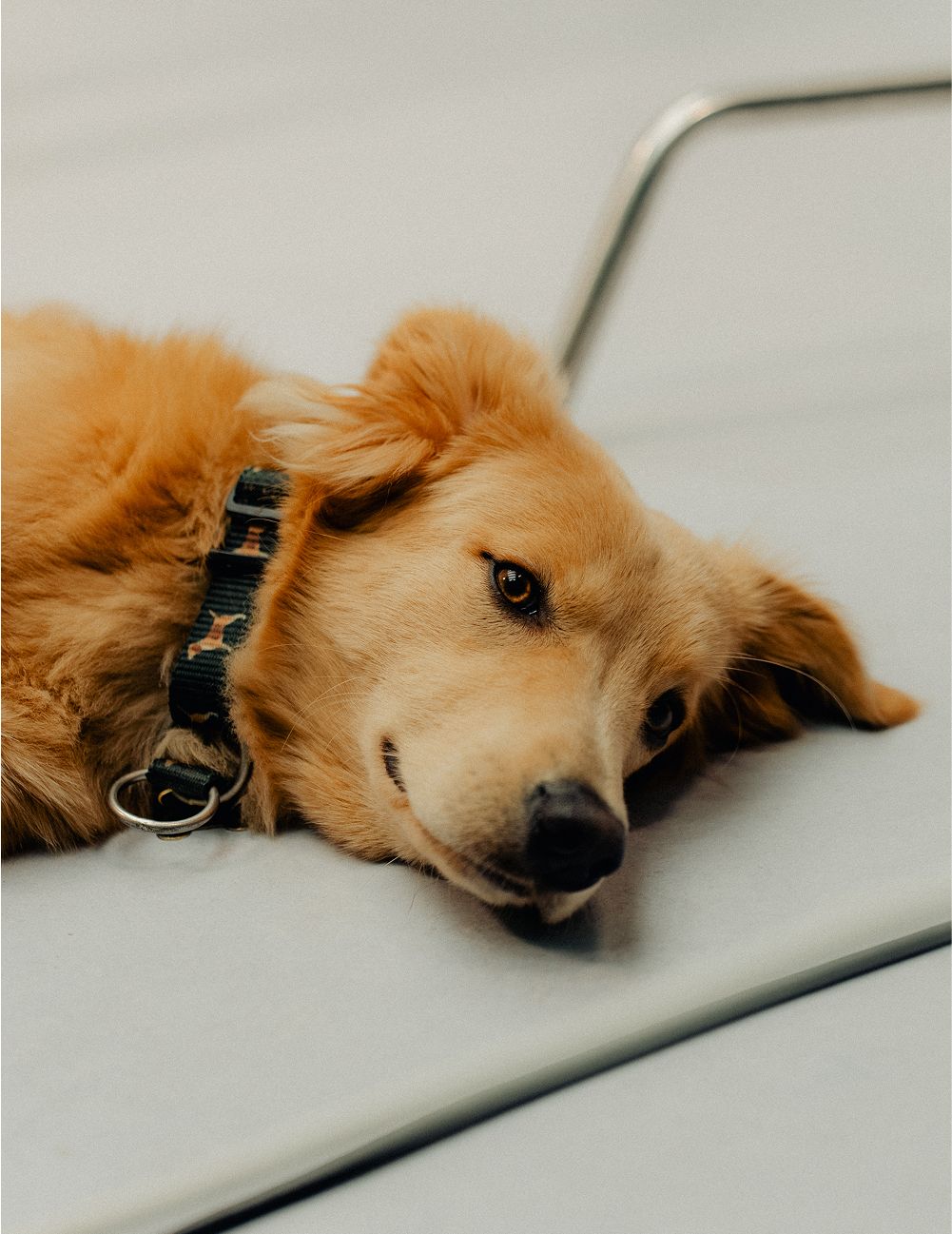 Optimiser les perfs Core Web Vitals